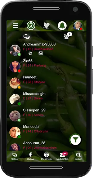 Messenger Der Würzige Chat
