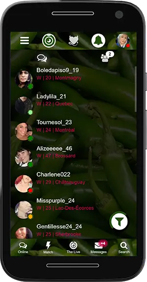 The Spicy Chat messenger