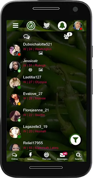 The Spicy Chat messenger