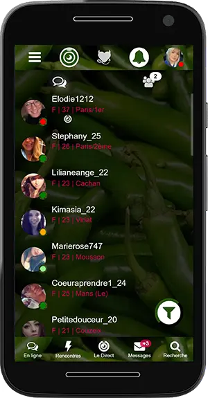 Messenger Le Tchat Coquin
