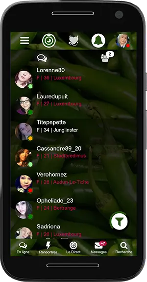Messenger Le Tchat Coquin
